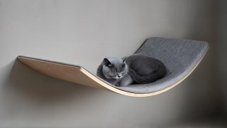 Mamapetz Loya Light Kedi Yatağı Köpek Dinlenme Alanı Modern İç Mekan Evcil Hayvan Mobilyası Ahşap